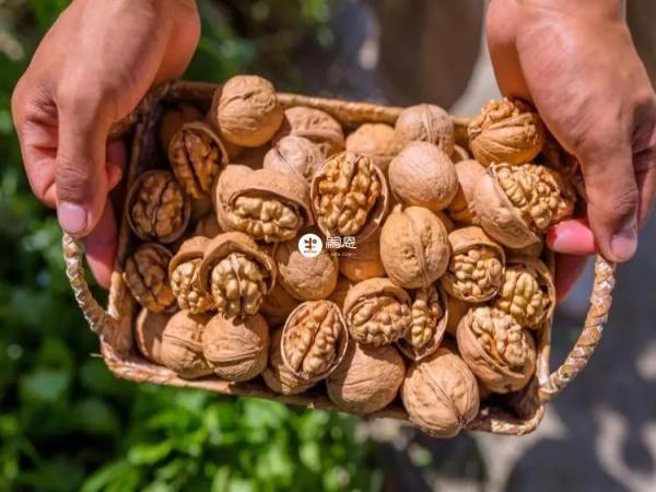 食用核桃前要了解自己是否為禁忌人群