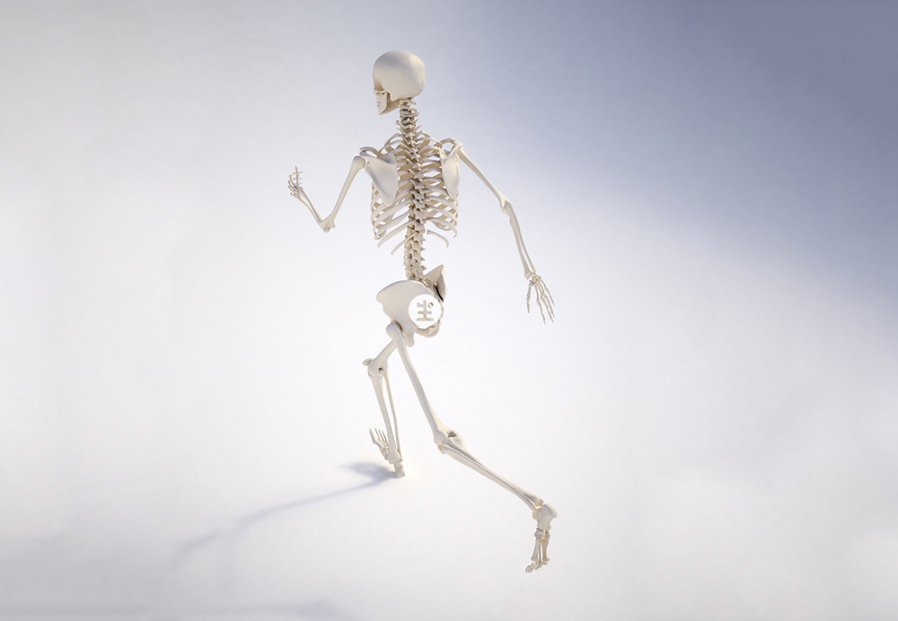 0~18週歲骨骼成長的三個階段