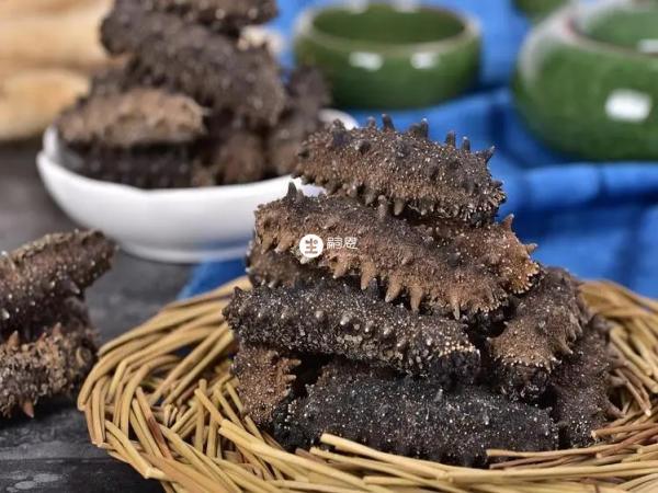 海蔘也有禁忌食物