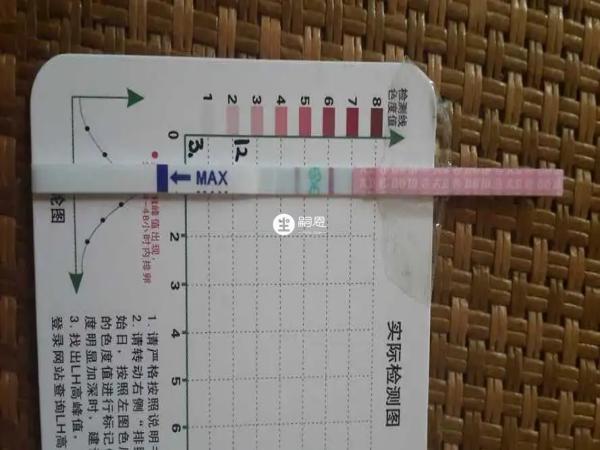体温测怀孕需要长期坚持