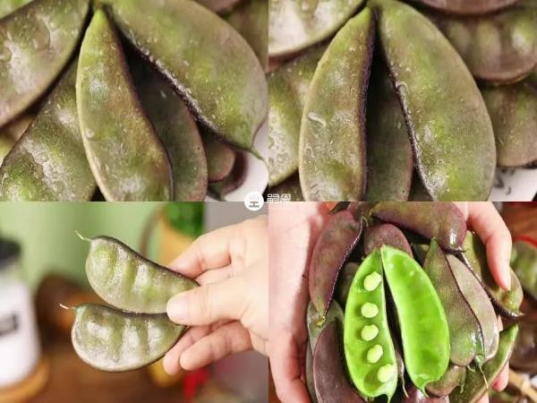 扁豆不焯水可能会中毒