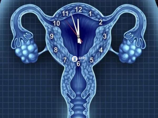 FSH40為卵巢早衰