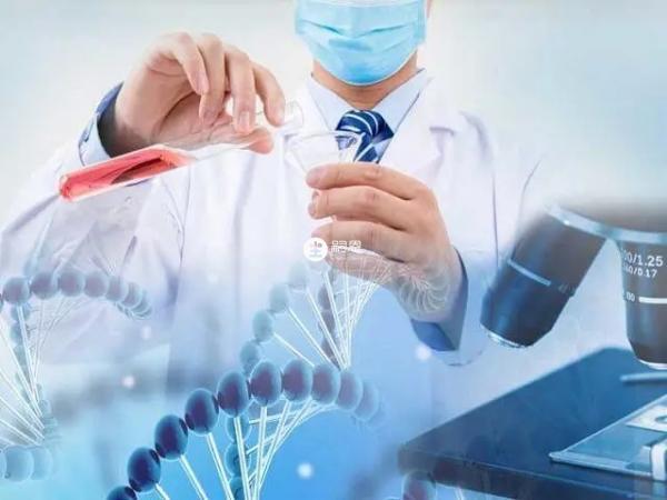 烏克蘭試管技術更先進