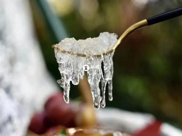 燕窩滋補效果很好