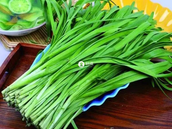 菠菜和韭菜一起吃会导致腹泻