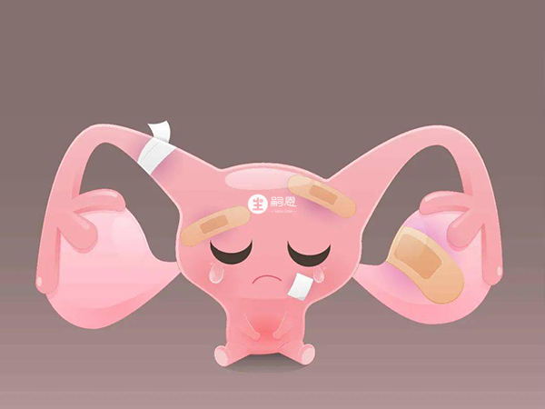 多囊做幾代試管都可以