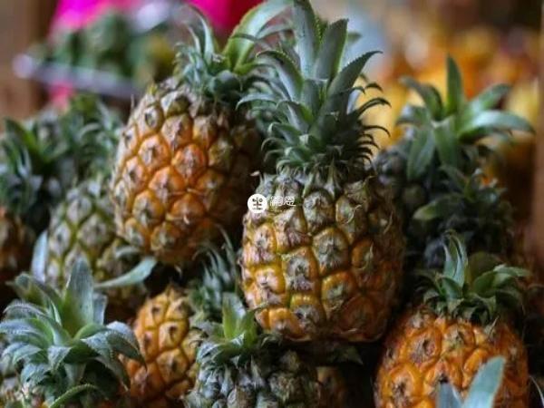 移植前吃菠蘿不會影響內膜