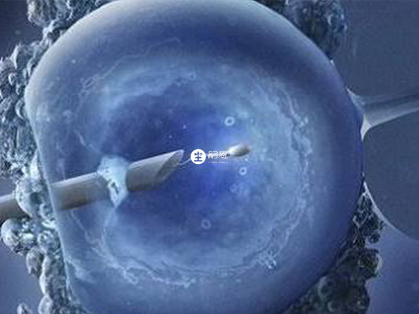 多囊卵巢做試管成功比較高