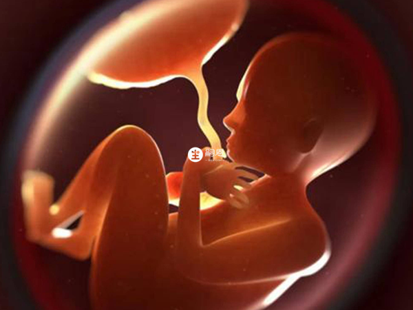 臍動脈有2條可能是男孩