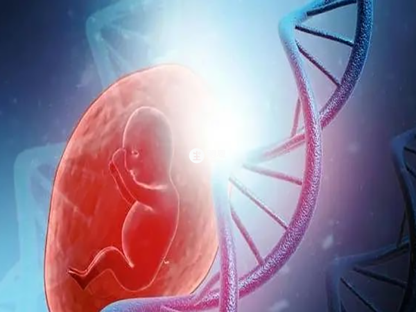 唐氏篩查不適合35歲以上的高齡產婦