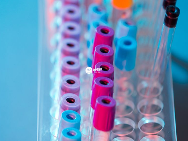 懷孕週期不足不建議做無創DNA