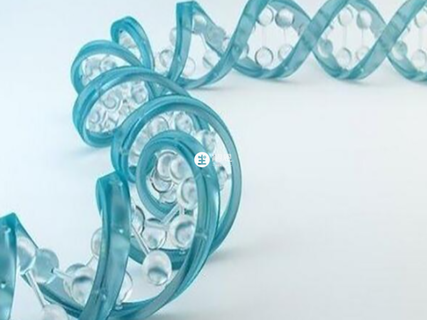 不建議懷雙胎的孕婦做無創