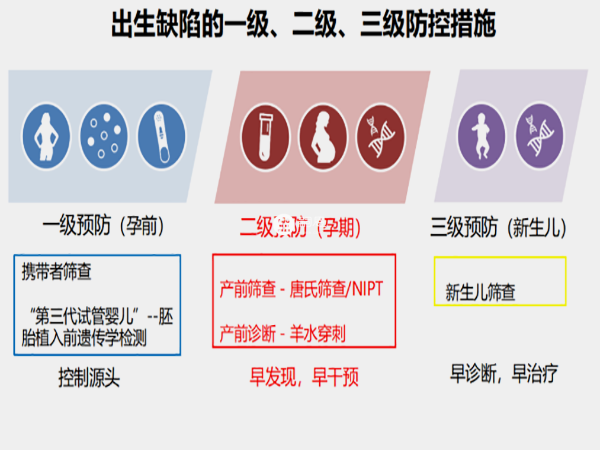 無創dna主要檢查胎兒哪些問題