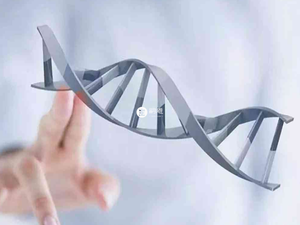 性別測試杯的可信度不高