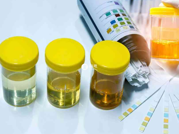 性別測試杯怎麼用