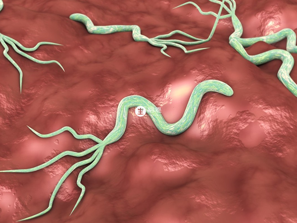 幽門螺桿菌最怕三種食物