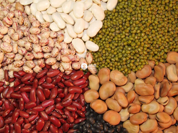 血液粘稠可吃豆類食品