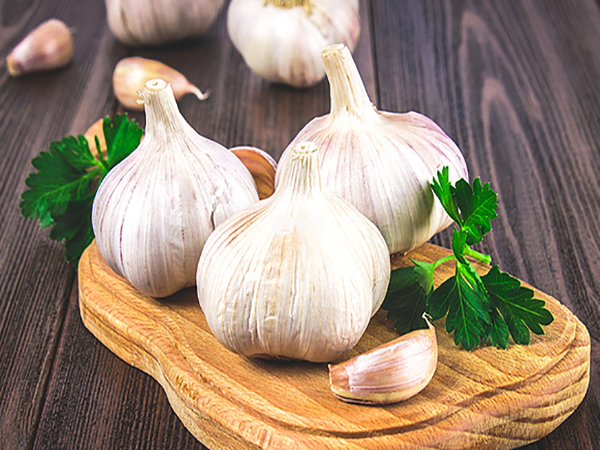 大蒜可以抑制幽門螺桿菌