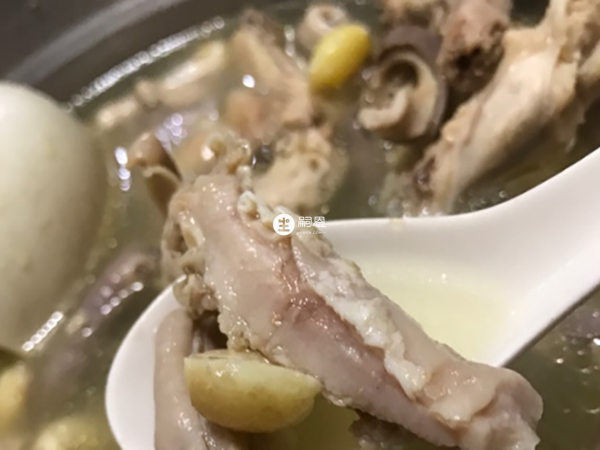 胡椒陳皮豬肚湯可以暖胃