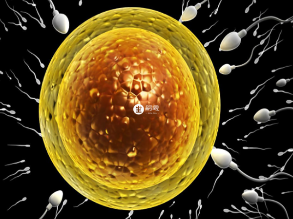 著床在左邊不一定是男孩