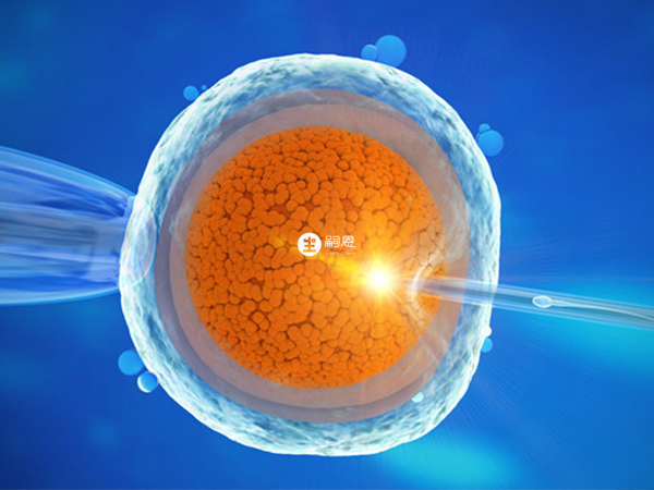 上海沒有可能做供精試管的私立機構