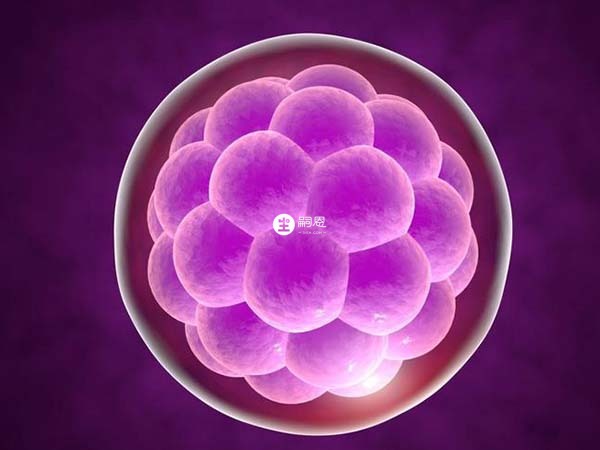 促排取卵是山西供精試管流程之一