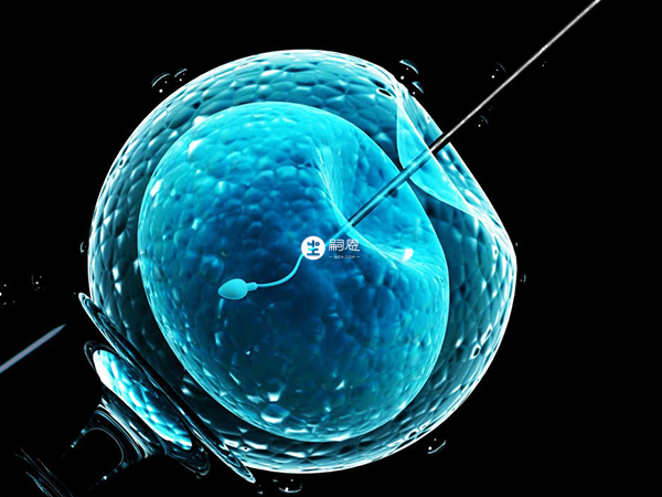 重慶有11家醫院能做試管