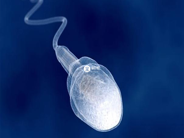 安徽供精試管不能自己選擇精源