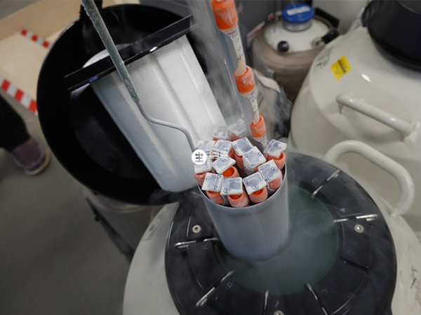 福建暫時沒有精子庫