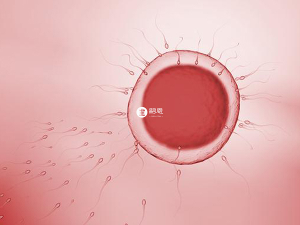 拉薩供精試管成功率在50%
