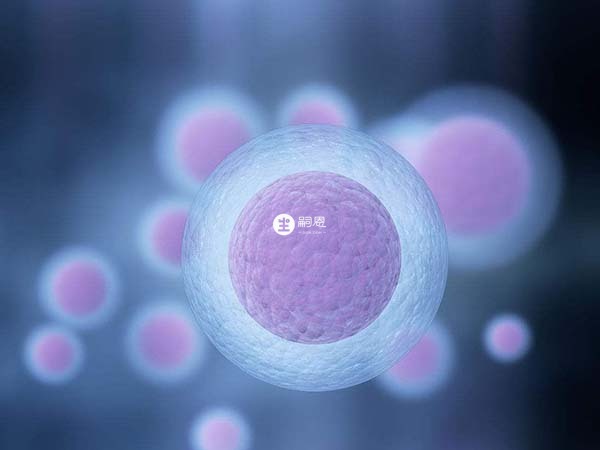 促排取卵是四川供精試管流程之一