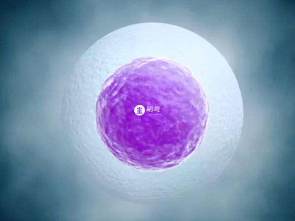 促排取卵是浙江供精試管流程之一