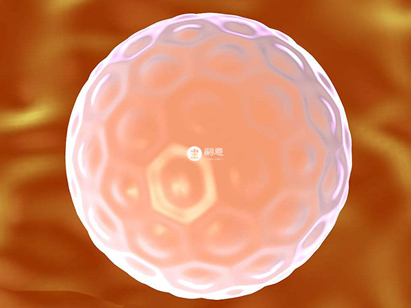 促排取卵是湖北供精試管流程之一