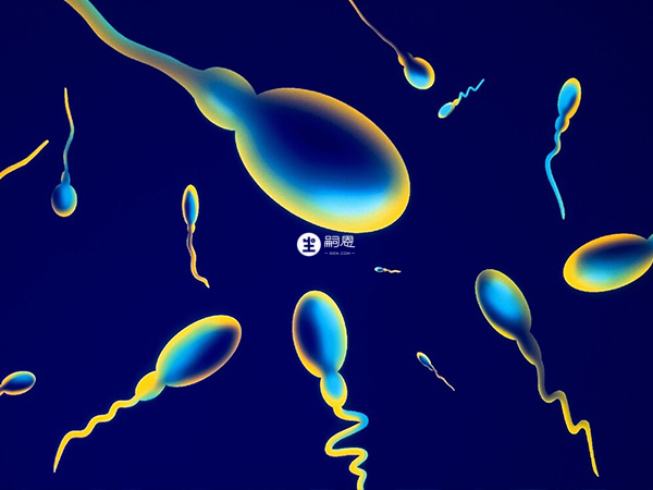 武漢申請精子費用在5千-2萬元不等