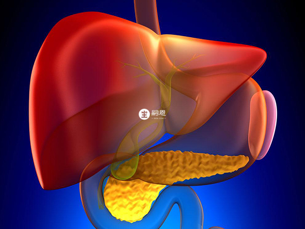 肝腎功能不全不能服用小兒氨酚黃那敏