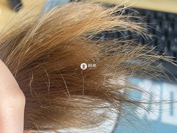 髮質乾枯可以做蛋白矯正