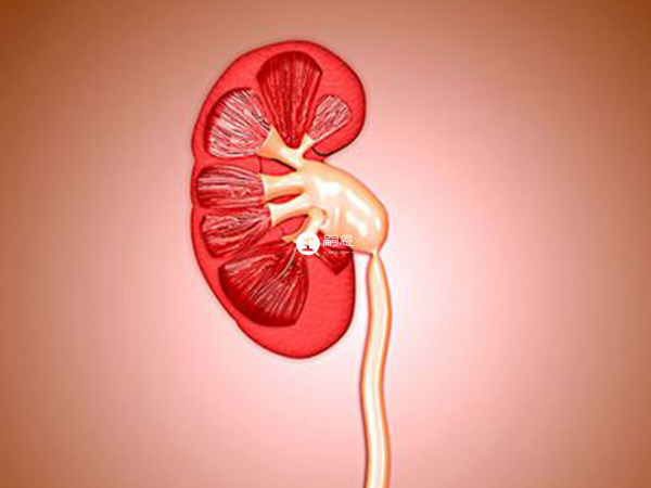 abo溶血癥可能導致急性腎衰竭