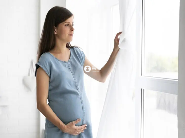 四維單上判斷胎兒是男孩的3個亮點