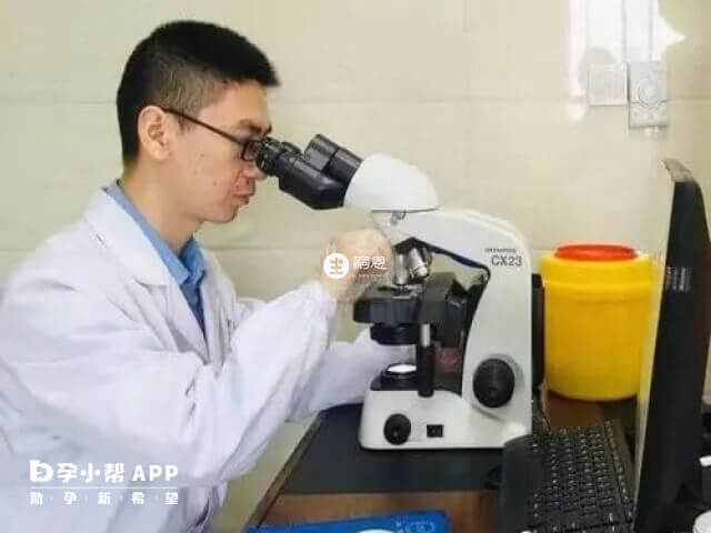 国内做试管三代可以排除上百种遗传病