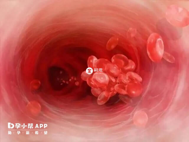 全國P血型大概有10人左右