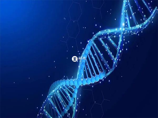 羅伯遜易位的形成是隨機的