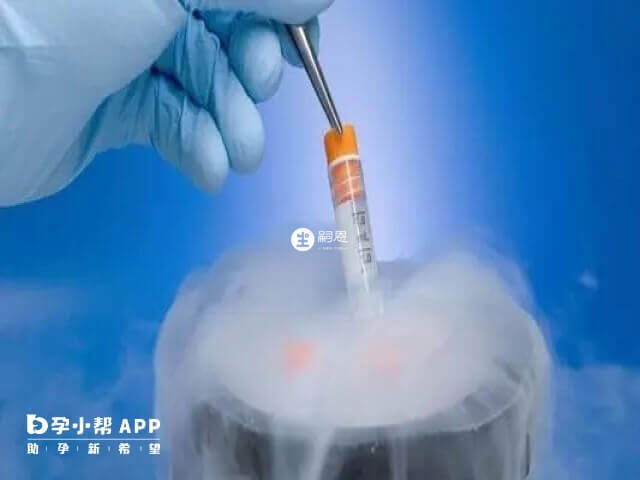 2022年去泰國冷凍卵子一年所需要的費用