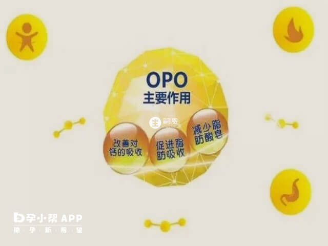 opo結構脂是奶粉中最重要5個成分之一