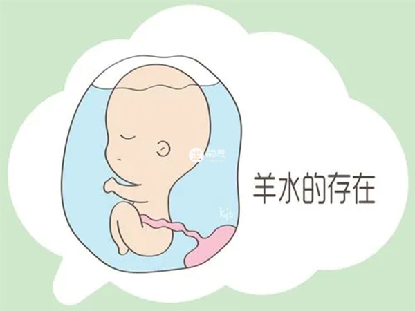 多胎可能會導致羊水早破