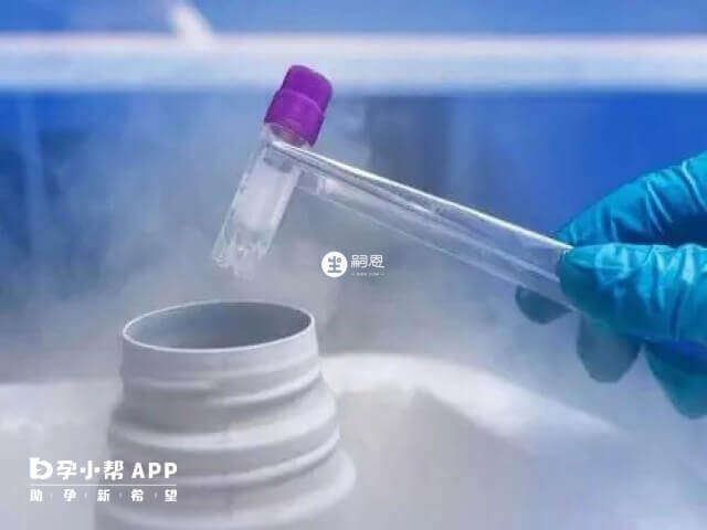 我國衛健委禁止未婚女性凍卵的原因