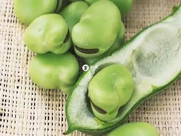 蠶豆病遺傳規律