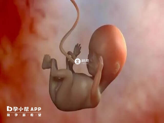 泰國試管嬰兒技術比國內好的原因