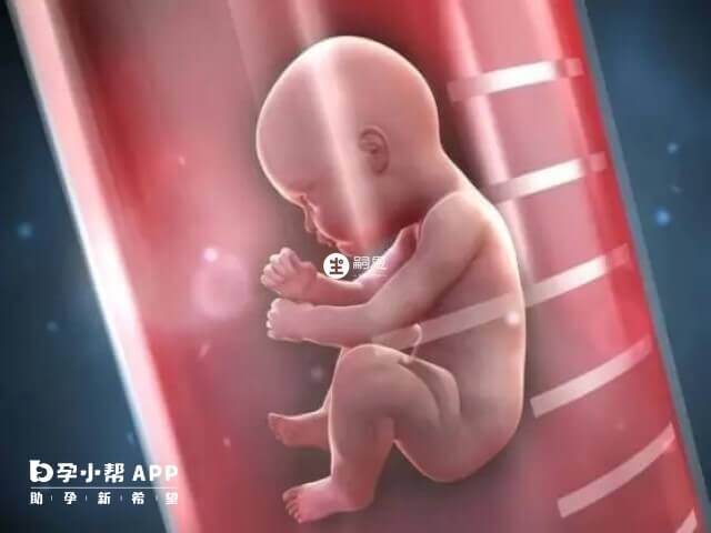 泰國試管嬰兒技術比國內好的3大原因