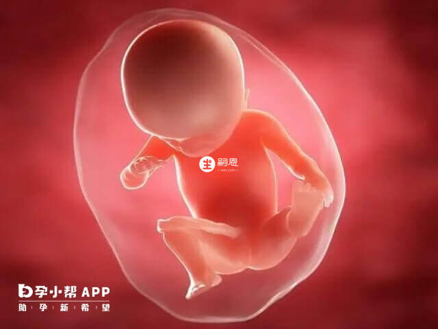 试管婴儿进周后的详细步骤