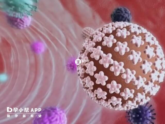 梅毒是一种慢性接触性传染病